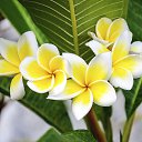 ���� �������, �������-���������, 48 ��� - ��������� 15 ����� 2025 � ������ ���� ����������