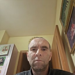 , 41, 