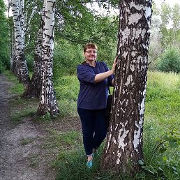 ����, �����������, 56 ���