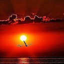 ���� �����, ����������� - ��������� 7 �������� 2024 � ������ ���� ����������