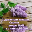 ���� �������, ���������� - ��������� 26 ��� 2026 � ������ ������ ��������