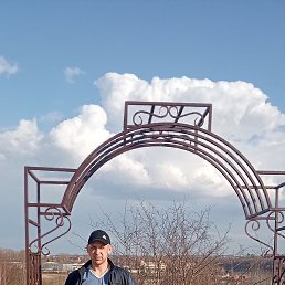 ����, �������, 41 ���