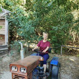 �������, �����������, 49 ���