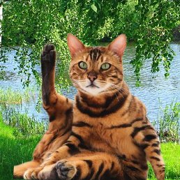 ������������, ������-��-����