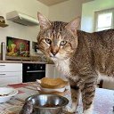    , -, 72  -  7  2025   »