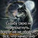 ���� ������, �������, 68 ��� - ��������� 15 ���� 2025 � ������ ������ ��������