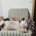 ���� ���, �����������, 64 ���� - ��������� 14 ������� 2025 � ������ ������ʻ