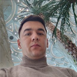 �����, 24 ����, �����-���������