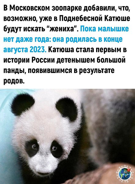  |  |   5 - 1  2024  15:37 - 2
