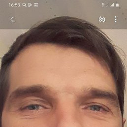 ���� ����, �����-���������, 44 ���� - ��������� 1 ������ 2024