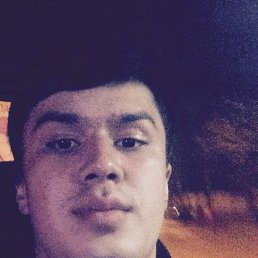 , 29, 