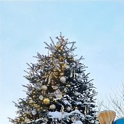 ������, 54 ����, ������