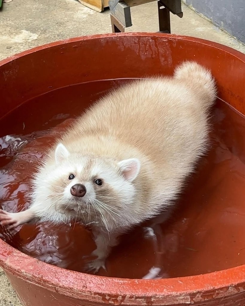   -,   .        ,  ...