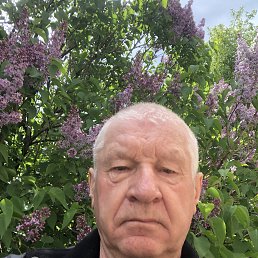 ����, 66 ���, ��������