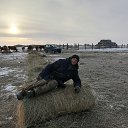 ���� ����, ������, 53 ���� - ��������� 7 ����� 2025 � ������ ���� ����������