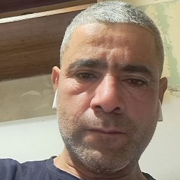 ����, �����-���������, 47 ���