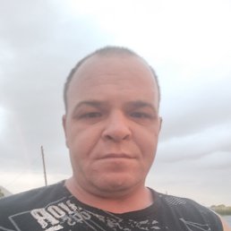 , 44 , 