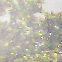 �������, ������, 41 ���