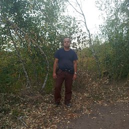 ���� ����, ������, 52 ���� - ��������� 2 ������� 2026