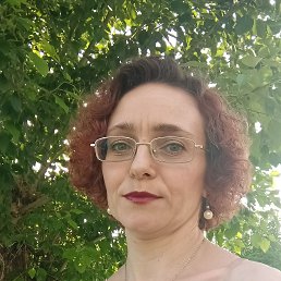 , 41, 