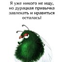 ���� �������, �������� - ��������� 29 ������� 2025 � ������ ���� ����������