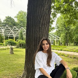 , 29, 