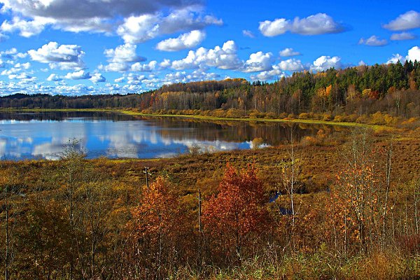 p.����. (�e�.o��) �ce��.