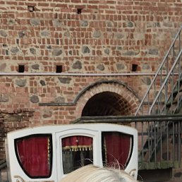 �����, �����