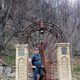 �����, �������, 49 ���