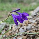 ���� ���������, �������, 65 ��� - ��������� 20 ������� 2024 � ������ ������ ��������