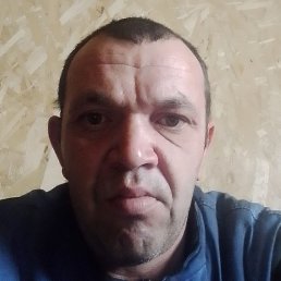 ������, ����, 42 ����