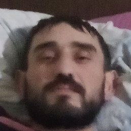 �����, ���������, 37 ���