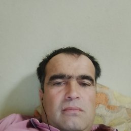 , 41, 