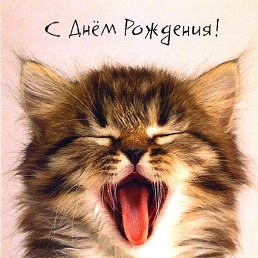 �����, �����, 51 ���