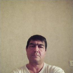 , 56, 