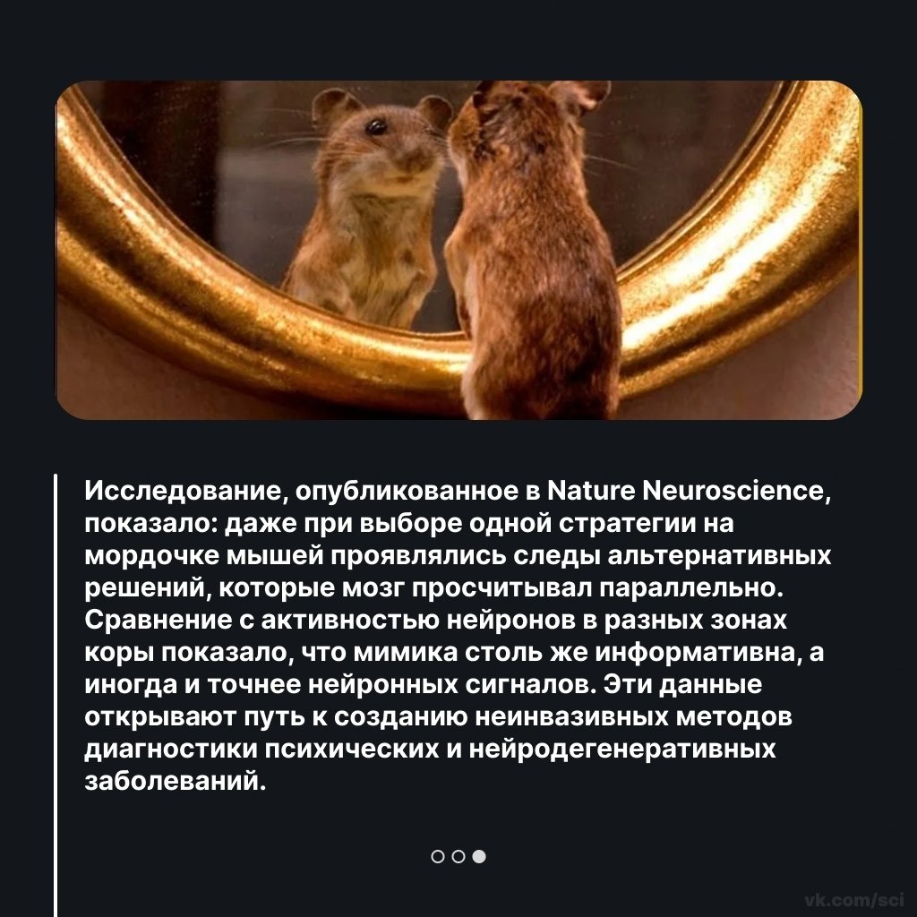 Путешествия | Туризм | Отдых на 5 - 8 октября 2025 в 10:41 - 3