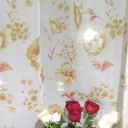 ���� �����, ��������, 56 ��� - ��������� 17 ������� 2024