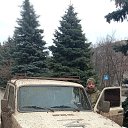 ���� ����� ����������, ������-��-����, 40 ��� - ��������� 16 ���� 2025 � ������ ���� ����������