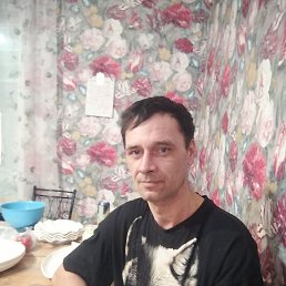 ���� �������, �����, 33 ���� - ��������� 2 ������ 2026