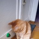 ���� ��������, ���������, 62 ���� - ��������� 23 ������ 2025 � ������ ������ ��������