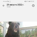 ���� �����, �������������, 42 ���� - ��������� 29 ������� 2024