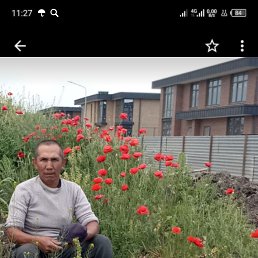 , 46, 