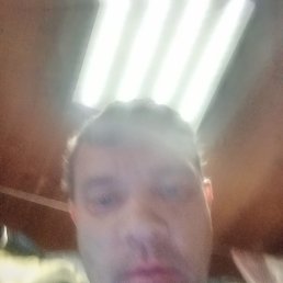, , 43 