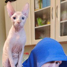 ������, ������, 47 ���