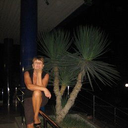 �����, ���������