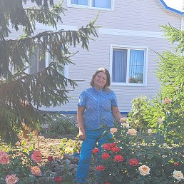 ���� �����, �������, 64 ���� - ��������� 7 ���� 2024