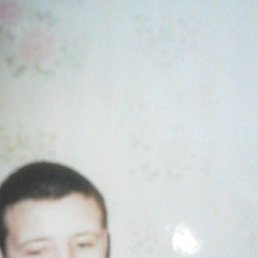 ����, �����-���������, 37 ���