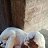 ���� Salman Ali, ������, 18 ��� - ��������� 16 ��� 2026