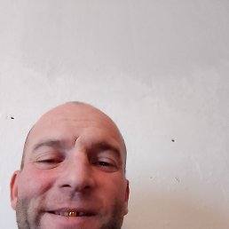 �����, �����������, 43 ����