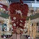 ���� �������, ���������� �����, 61 ��� - ��������� 15 ��� 2025 � ������ ���� ����������